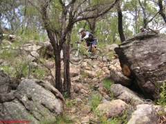 20070114-Coba 215 